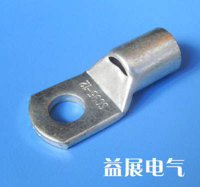 SC�Q���~����